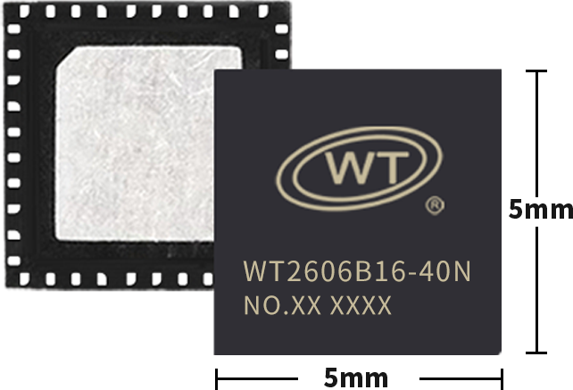 WT2606B16-40N TFT display driver chip with audio storage and BLE support
